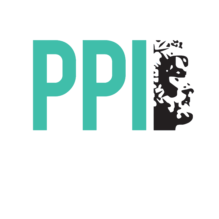 PPI Aachen Logo - FH Colour Scheme